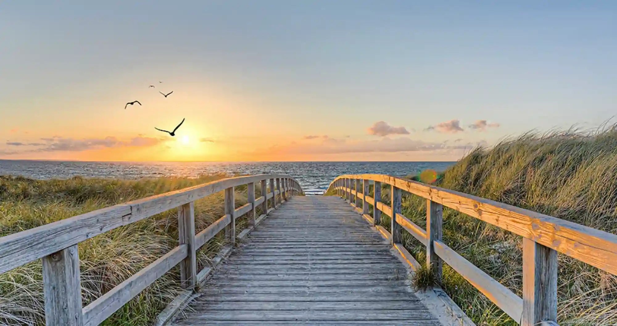 Diamond Painting XXXL – Beach of Tranquility