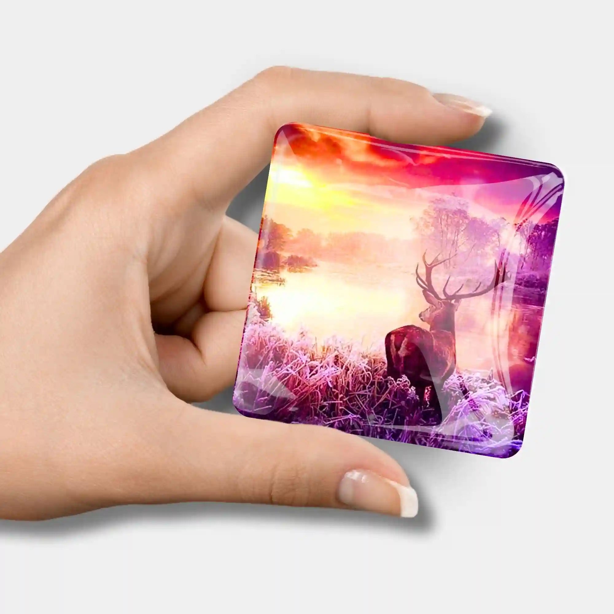 Cover Minder - Deer in the Sunrise