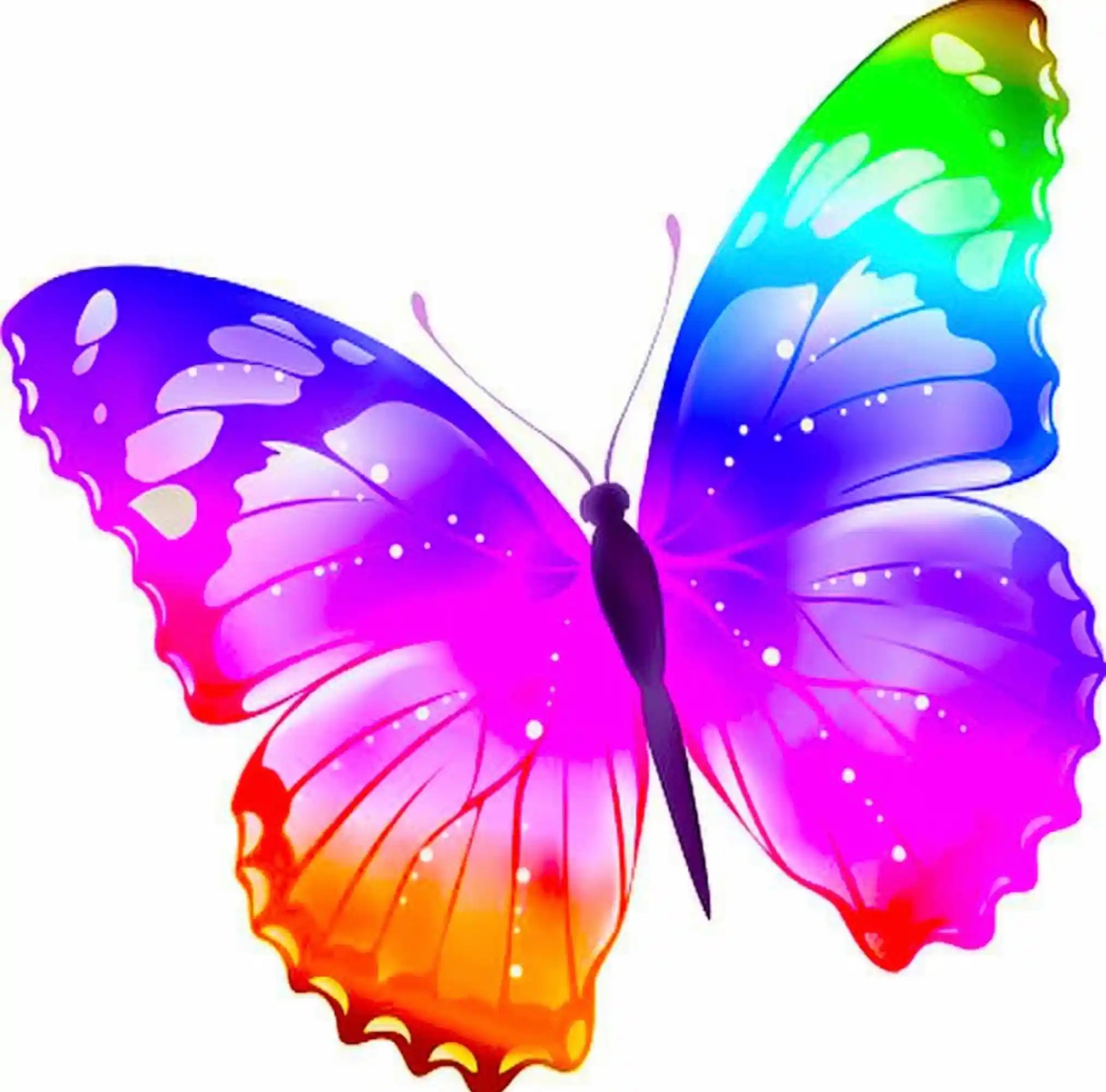 Diamond Painting Kids – Colorful Butterfly