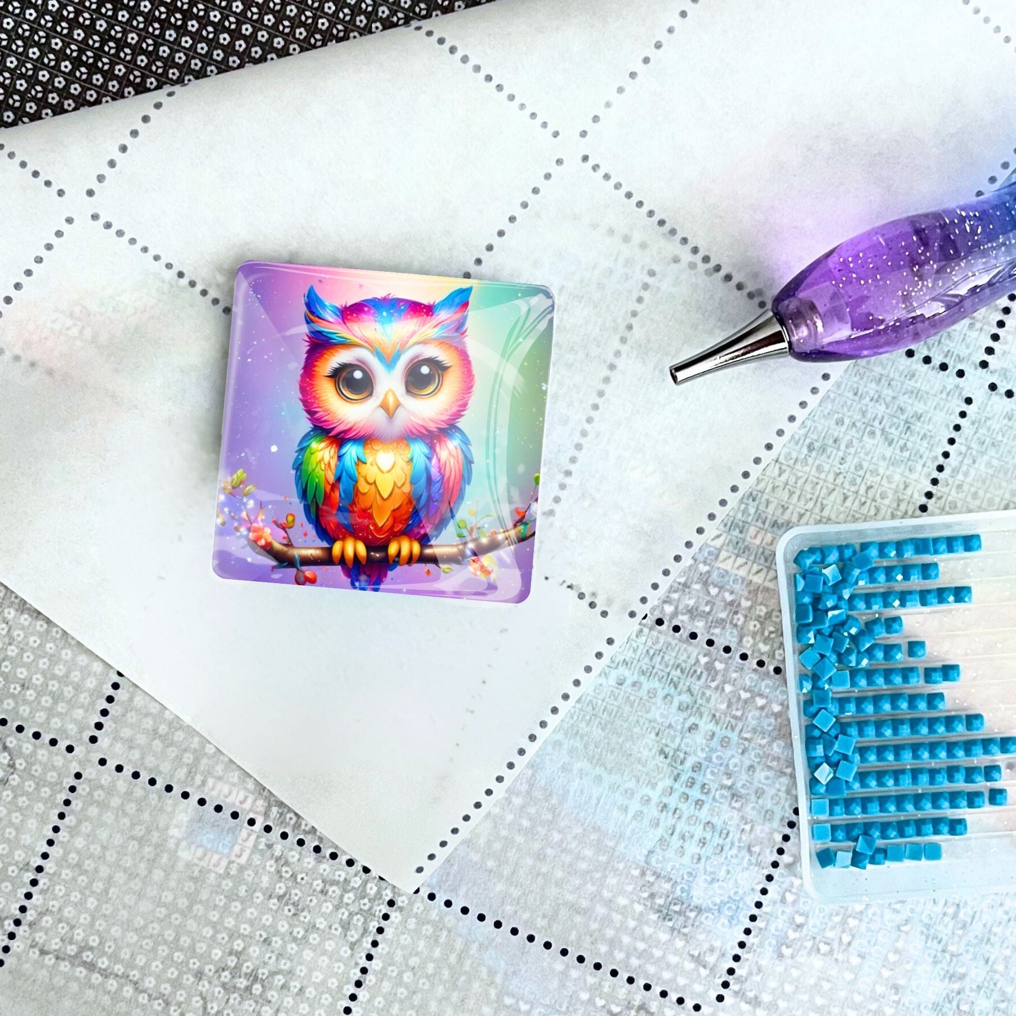 Cover Minder - Fridolin the Owl