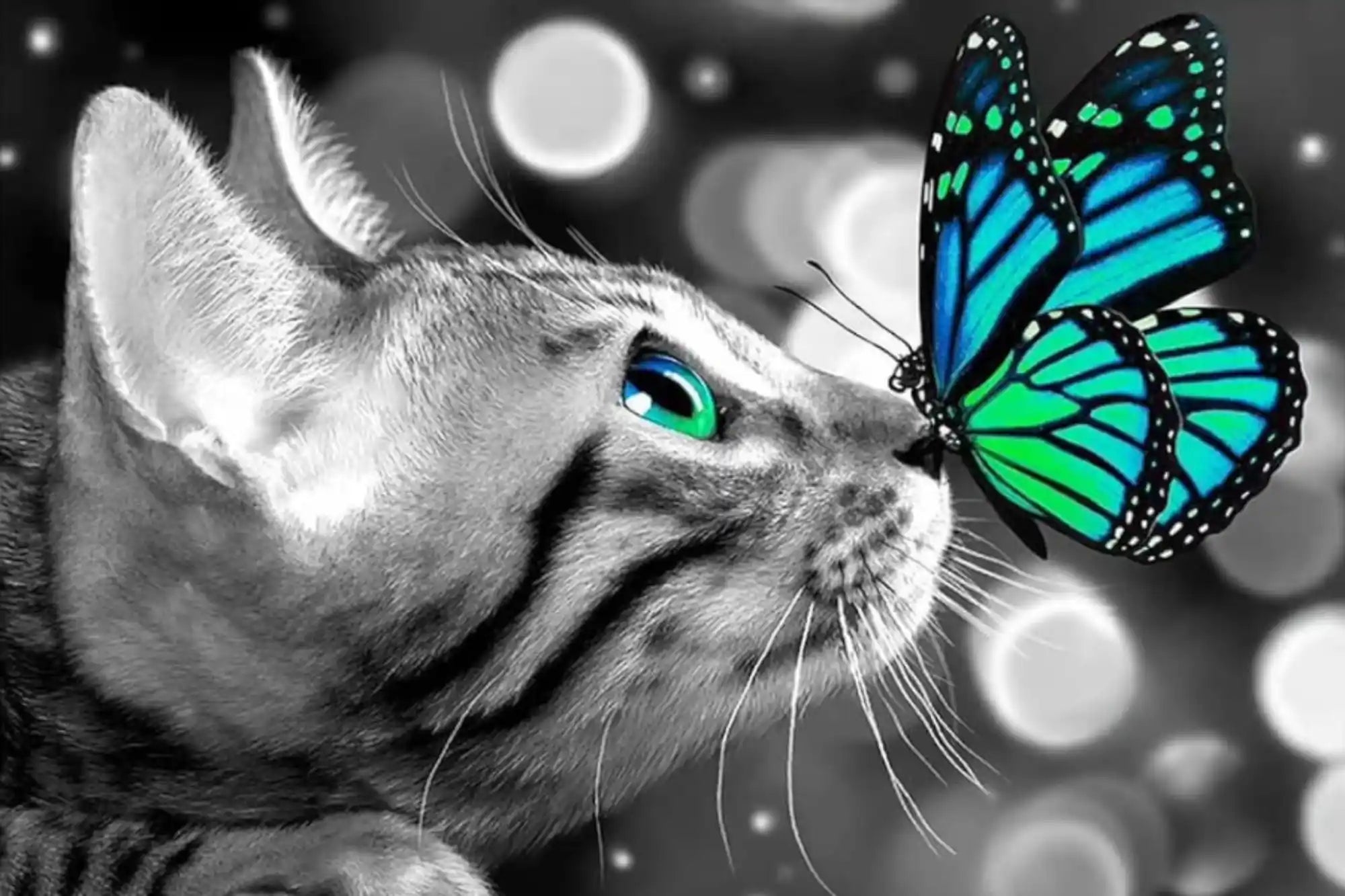 Diamond Painting Multi Special – Lovely Cat