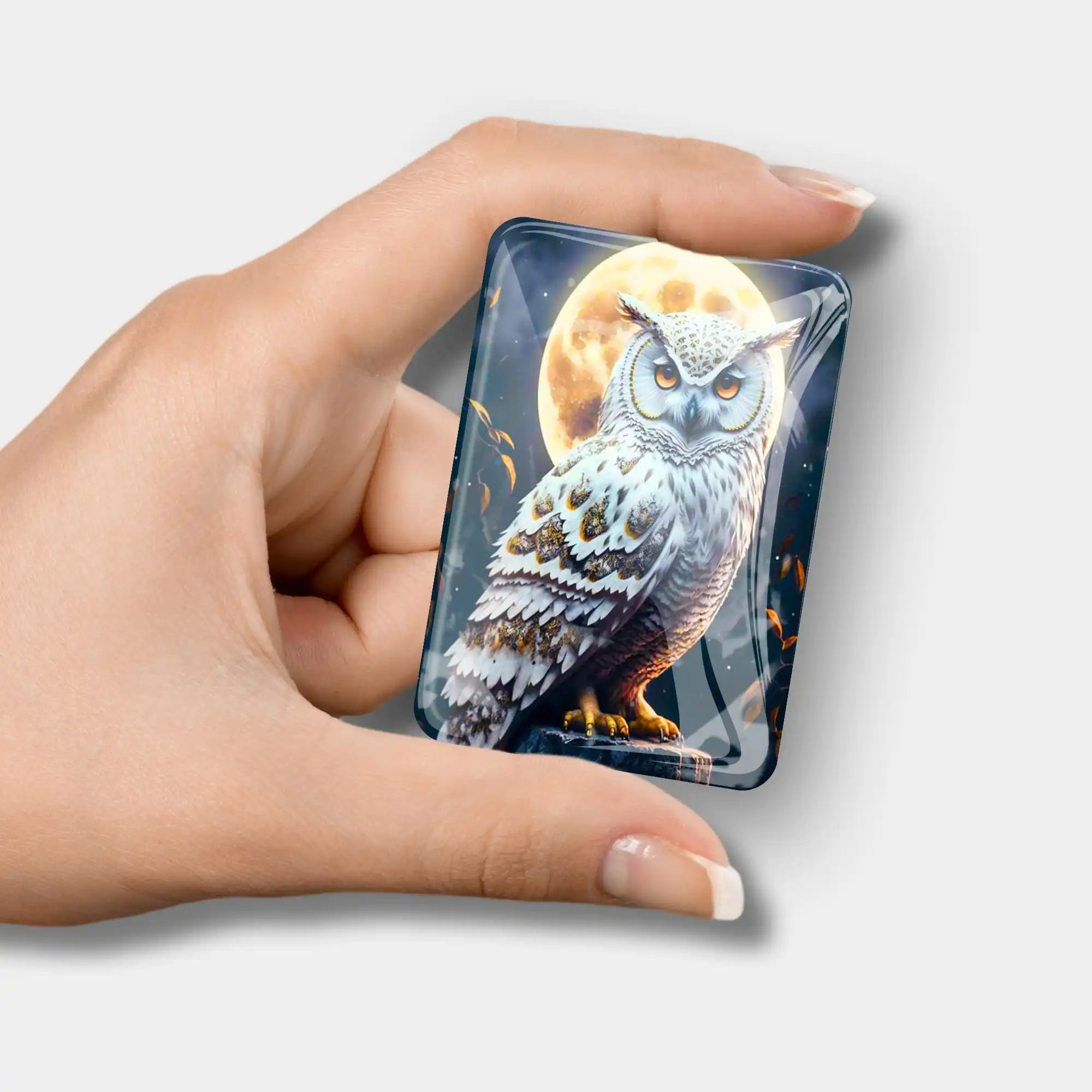 Cover Minder - Owl in the Moonlight