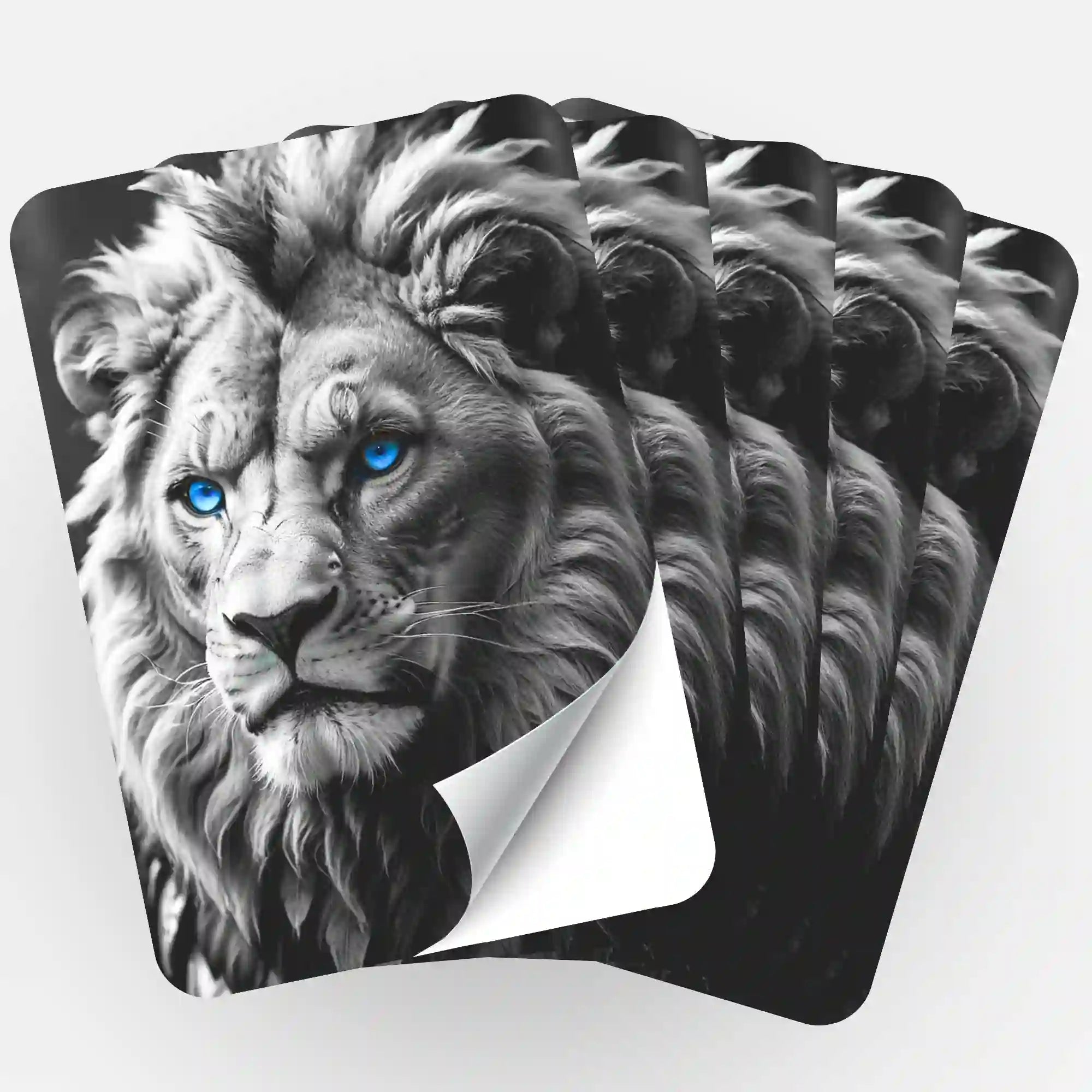 Wall Sticker 5-Pack - Leo the Lion