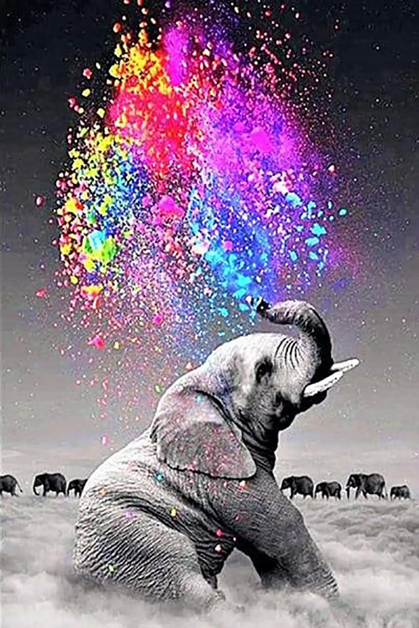 Diamond Painting – Elephant "Play of Colors"