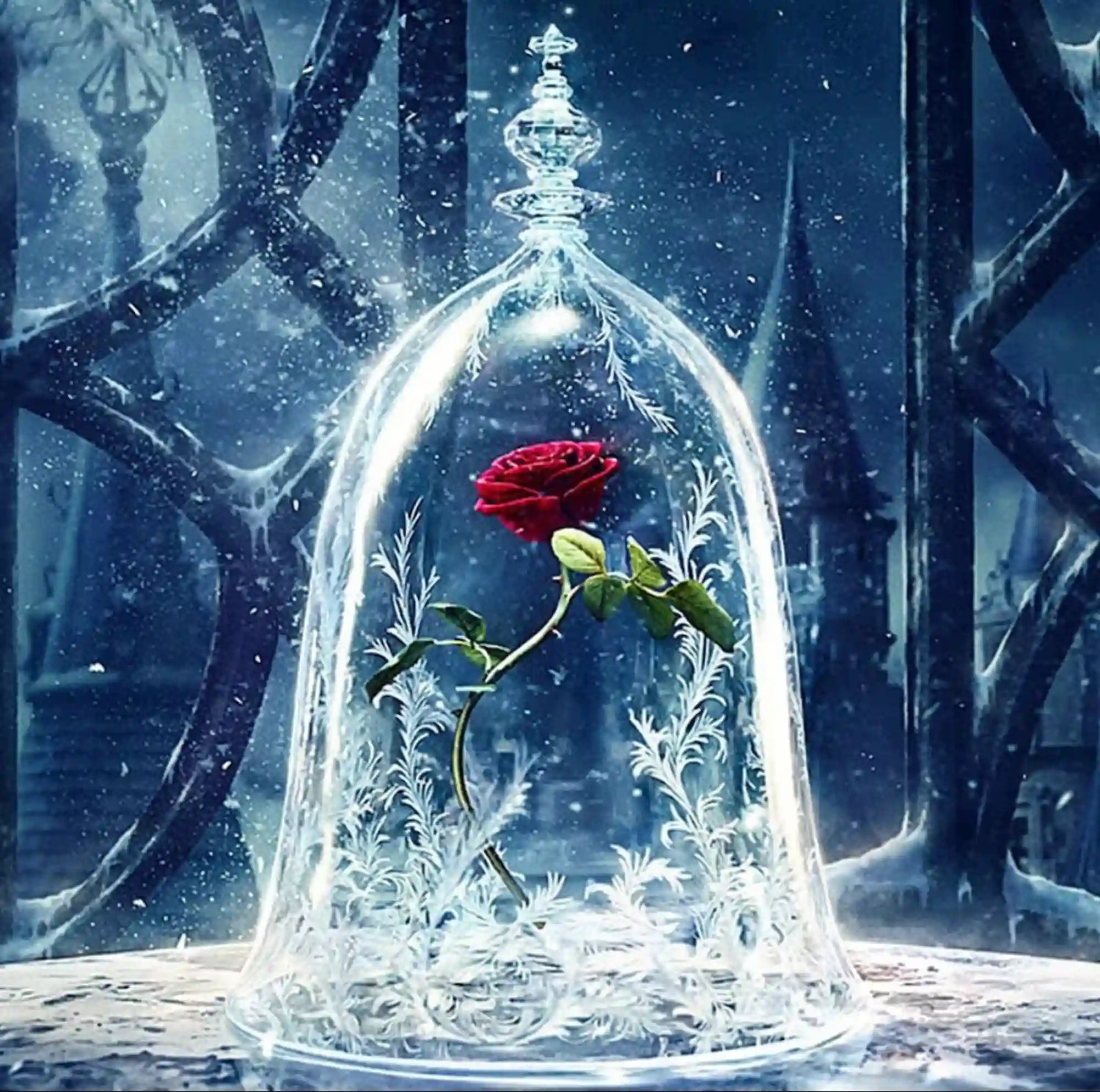 Diamond Painting – Rose in the Wonder Glass