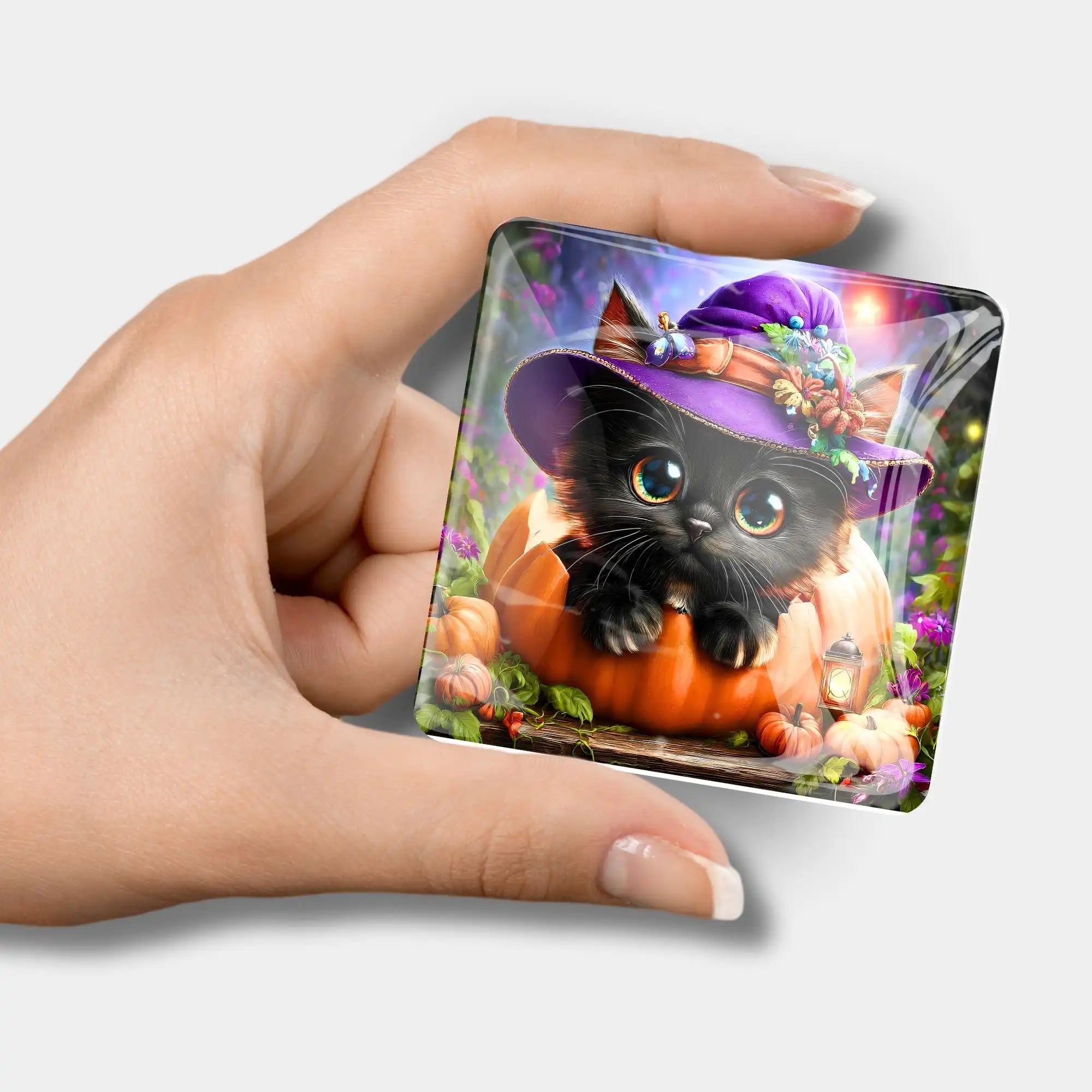 Cover Minder 7 Day Special - Autumn Paws