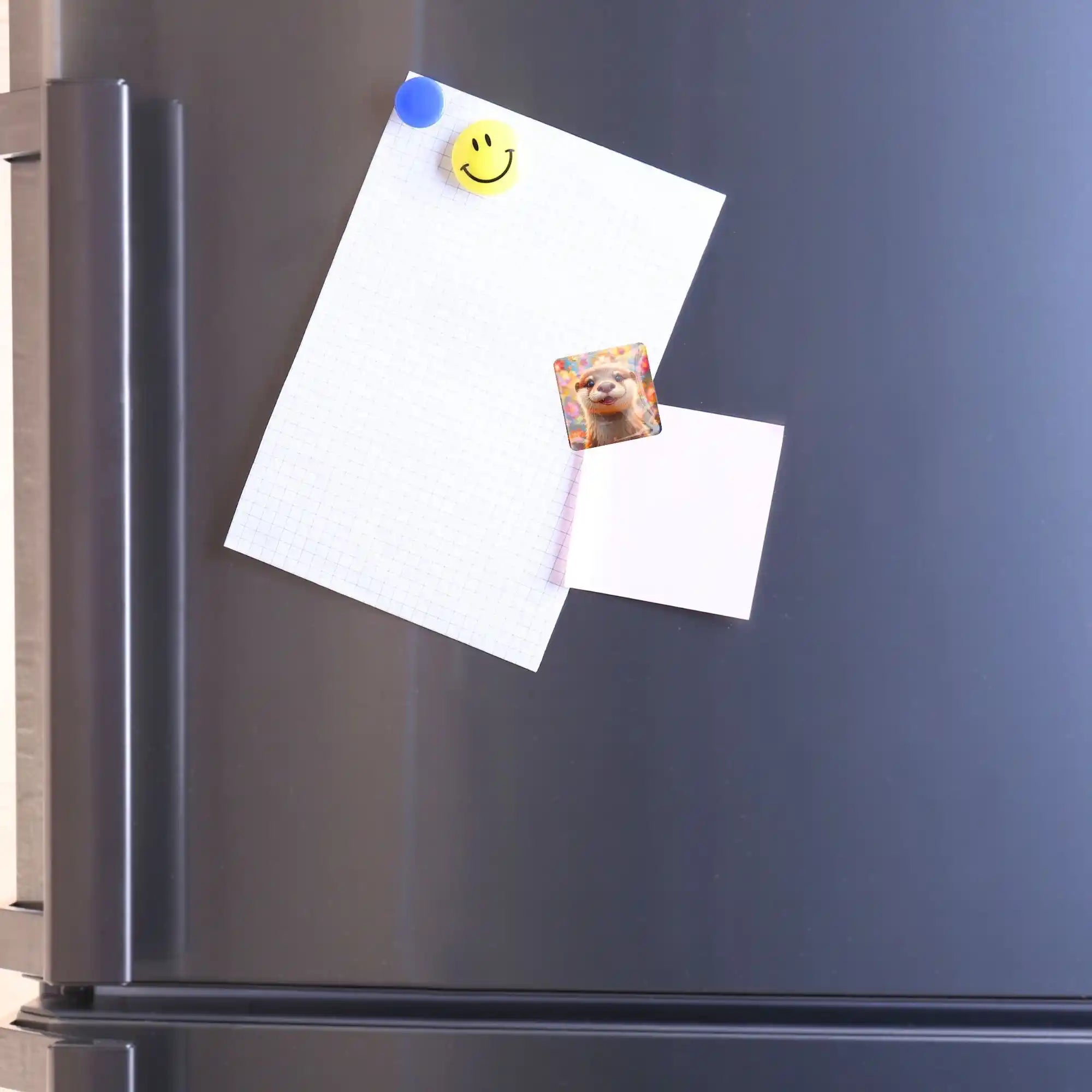 Cover Minder - Sunshine in the Fur