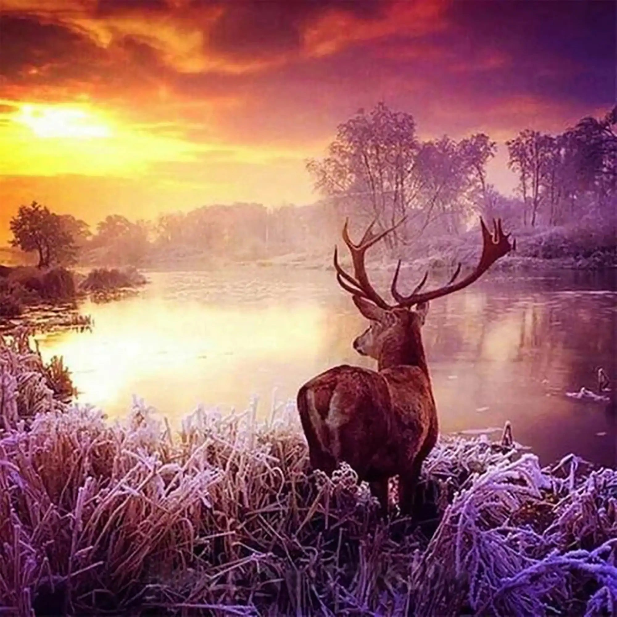 Diamond Painting – Deer in the Sunrise